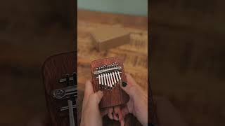 9 Note Gansu Thumb Piano Kalimba Sound Demo [upl. by Zuliram]