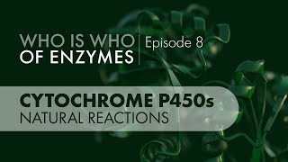 Who Is Who of Enzymes Cytochrome P450 Monooxygenases Natural Reactions [upl. by Curson]