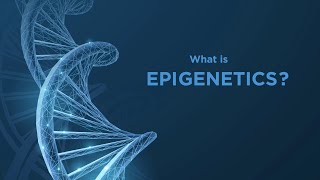 Epigenetics Explained [upl. by Ancel336]