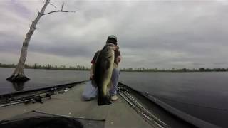 Albemarle Sound Bass Fishing April 26 2020 [upl. by Ase]