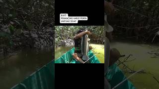 ikan monster penunggu bisa gerakan perahu 😱😱😱 shortsviral fishing mancing [upl. by Rourke627]