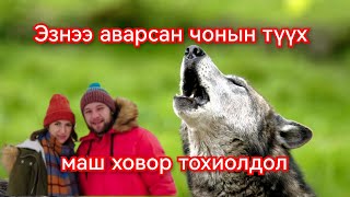 Эзнээ аварсан чонын түүх Гоё Түүхүүд Goy tuuhuud mongol heleer kino duu barimtat kino 2024 [upl. by Arok711]