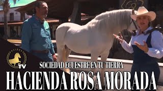 HACIENDA ROSA MORADA POR SOCIEDAD ECUESTRE EN TU TIERRA CON ESTEFANÍA ZÚÑIGA [upl. by Leuqcar291]