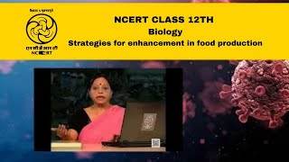 NCERT  CBSE Class 12 Biology  Strategies for enhancement in food production  Part 1 [upl. by Ynnaf]