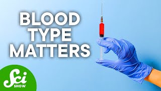 The Pros amp Cons of Your Blood Type [upl. by Hugon]