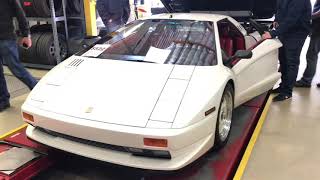 Cizeta Start Up and Revs  16 Cylinders Of Awesome [upl. by Tannen]