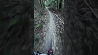 Hand built flow track with cool wooden features mtb mountainbike [upl. by Monti812]