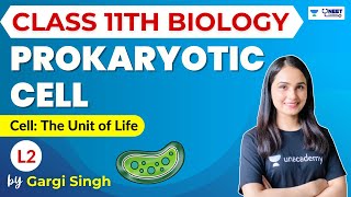 Prokaryotic Cell  Cell The Unit of life  Part 2  NEET 20232024  Dr Gargi Singh [upl. by Arras]