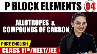 P BLOCK ELEMENTS 04  Allotropes amp Compounds of Carbon  Chemistry  Pure English Class 11NEETJEE [upl. by Yelkreb272]