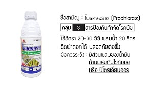 โพรคลอราซ Prochloraz [upl. by Erual247]