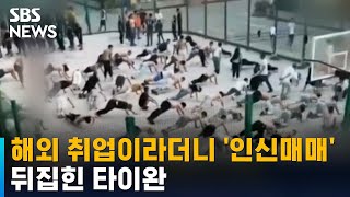 구직 청년들 모아 인신매매에 장기적출까지…타이완 발칵  SBS [upl. by Maxy]