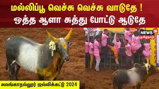 மல்லிப்பூ வெச்சு வெச்சு வாடுதே   சுத்து போட்டு ஆடுதே  Kattapa Kalai  Alanganallur Jallikattu [upl. by Ahtnams370]