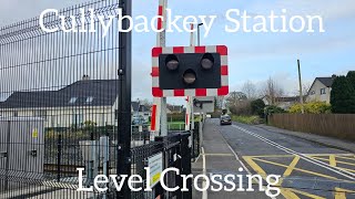 Cullybackey Station Level Crossing Ballymena Monday February 19022024 [upl. by Dympha]