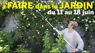 QUE FAIRE DANS VOTRE JARDIN DU 11 AU 18 JUIN  L’AGENDA PRATIQUE DU JARDINIER AVEC PATRICK ET ROLAND [upl. by Ahsuatan]