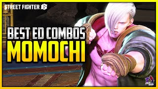 Best ED Combos  ▰ Momochi Absolutely Amazing ED  【Street Fighter 6 Season 2】 [upl. by Jezabella]