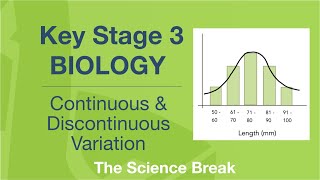 Key Stage 3 Science Biology  Continuous and Discontinuous Variation [upl. by Giuliana]