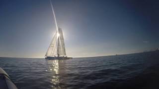 Trimaran PULSAR 60  Le SO WHAT [upl. by Sufur]