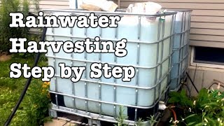 Rainwater Collection  Step by Step installation of IBC totes [upl. by Ronica681]