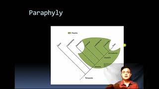 Homoplasy vs Apomorphy vs Plesiomorphy [upl. by Eveivaneg]