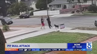 Pomona couple attacked by pit bull [upl. by Ettennahs950]