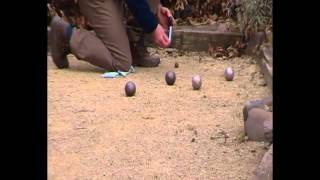 HOS Petanque De Spelregels [upl. by Waterer]