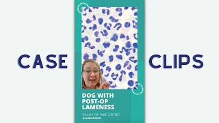 Cytology Case Clips Dog with PostOp Lameness [upl. by Aara686]