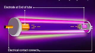 How Neon Lights Work [upl. by Aihsiym]