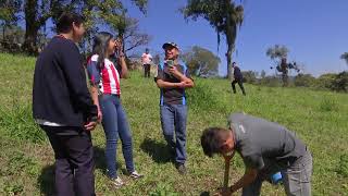 Actividades de Reforestación en la UNCADER 2 [upl. by Eeliab]