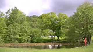 Singleton Park Swansea in Spring [upl. by Nennahs]