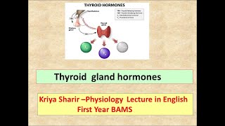 Thyroid Hormones l Functions l Endocrine System Part 3 l Endocrinology l Hormones lHormones T3 amp T4 [upl. by Annabel]