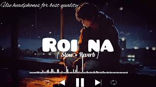 Roi Na Lofi song  SlowedReverb   ninja ‎LOFIMusic0304 [upl. by Chang]