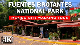 Parque Nacional Fuentes Brotantes de Tlalpan 🇲🇽 Ciudad de México  4K Walking Tour [upl. by Ocsic]