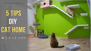 DIY Cat House  5 Tips How to Catify Your Home For Cats [upl. by Alletse389]