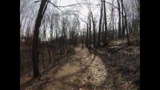 Hiking Saugatuck Dunes State Park  South Trail [upl. by Attelliw]