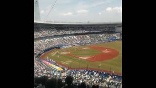 木更津総合 ZOZOマリンスタジアム 甲子園決定の瞬間 [upl. by Michele]