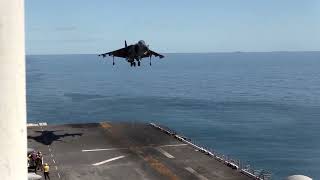 Harrier Vertical Take Off  Harrier Jump Jet [upl. by Ohs]