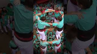 Els Castellers de Vilafranca guanyen el Concurs de Castells 2024 [upl. by Cerveny542]