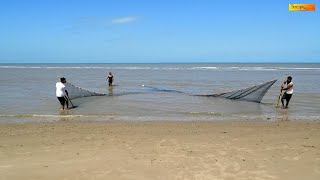 How To Use a Hand Seine for Fishing [upl. by Mclaughlin]