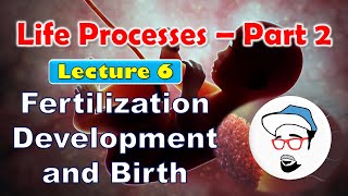 Fertilization Development Birth  Life processes in Living Organisms Part 2 Class 10 SSC CBSE [upl. by Delanie195]