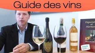 Astuces  Les défauts visibles dun vin rouge [upl. by Kinnon]