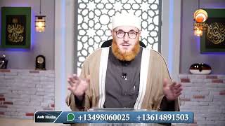 what is the reward for performing umrah DrMuhammadSalah hudatv [upl. by Tebor]