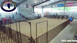 Clermont County Lamb Show 2023 [upl. by Ennovyhs]