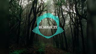 Kina can we kiss forever slowed reverb Ringtone SS SONGS TV [upl. by Oinota]