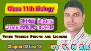 Class 11th Biology Lec 13 ll Virus Viroids Prions and Lichens [upl. by Ynneg]