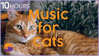 Music for Cats  10 hour Relaxing Cat Music Playlist to Help Cats Sleep and Relax 🐱 [upl. by Ernaldus]