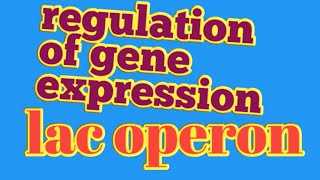 regulation of gene expressionlac operon neet biology [upl. by Odnuges640]