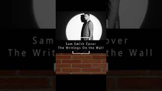 Sam Smith The Writings on The Wall cover [upl. by Sucitivel838]