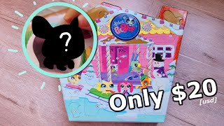 The LPS Advent Calendar EVERYONE Forgets [upl. by Torry]