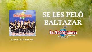 La Arrolladora Banda El Limón De René Camacho  Se Les Pelo Baltazar Lyric Video [upl. by Laural105]