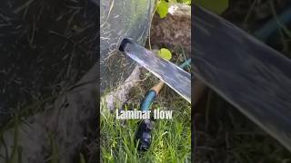 Laminar flow  shorts science sciencefacts physics [upl. by Rehpotsirh57]